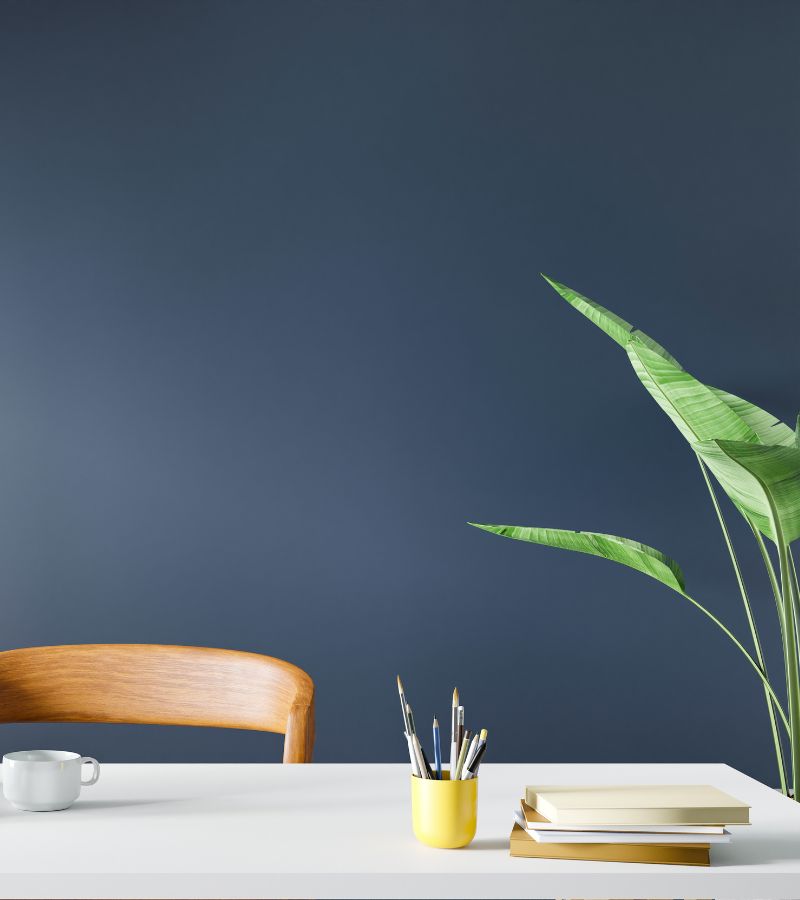 Plan and Simple Rachel Werner