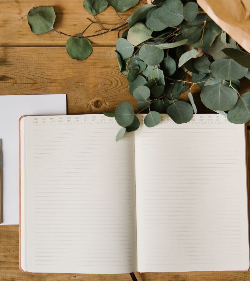 Plan and Simple Rachel Werner