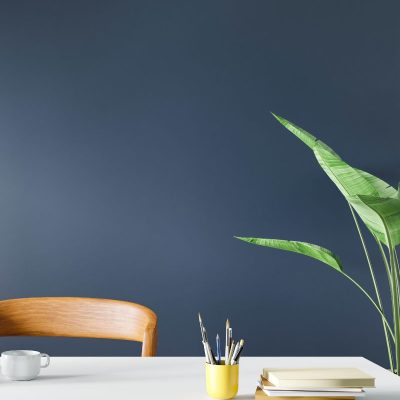 Plan and Simple Rachel Werner