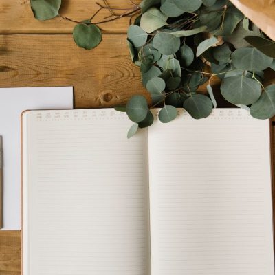 Plan and Simple Rachel Werner